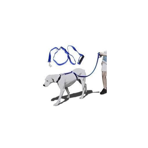 Kutya hám 2.0 - Nem szorítja kutyád nyakát, mint egy póráz!