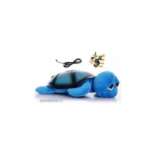 Bociszemű teknős éjjeli fény kék