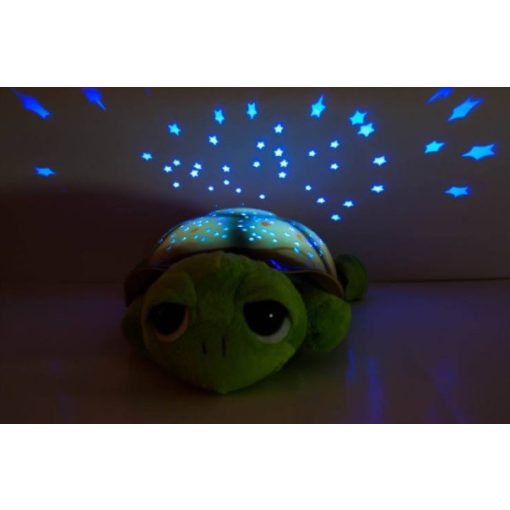 Bociszemű teknős éjjeli fény zöld