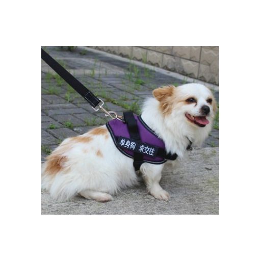 Kutyahám 5-13 Kg-os kutyáknak - Nem szorítja kutyád nyakát, mint egy póráz!