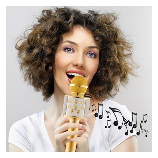 Karaoke mikrofon - A legjobb bulikhoz!
