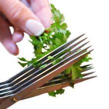 5 pengés fűszernövény vágó olló