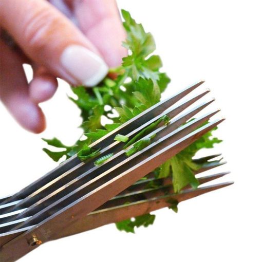 5 pengés fűszernövény vágó olló