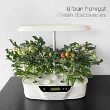 Beltéri növénynövesztő rendszer - Urban Oasis PRO-S12