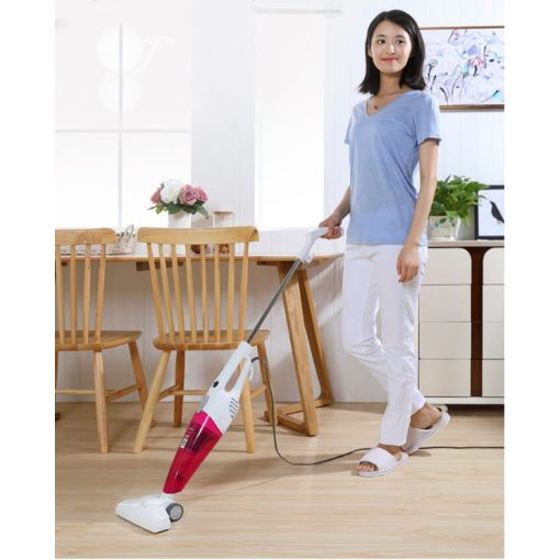 PROFESSZIONÁLIS HOSSZÚ NYAKÚ PORSZÍVÓ