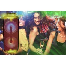 Kimso 2*8 inch dual QS-220