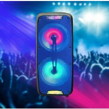 Kimso 2*8 inch dual QS-220