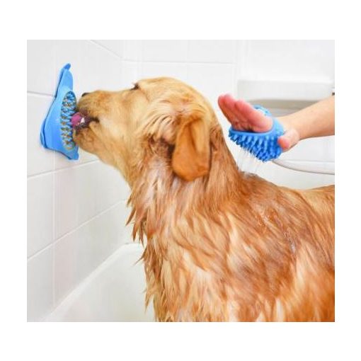 Feltapasztható kutya etető