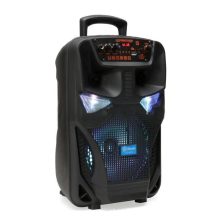 8" Hangszóró TTD-8250 - Profi sztereo hangzás!