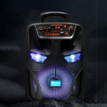 8" Hangszóró TTD-8250 - Profi sztereo hangzás!