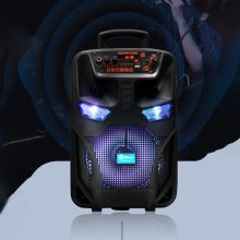 8" Hangszóró TTD-8250 - Profi sztereo hangzás!