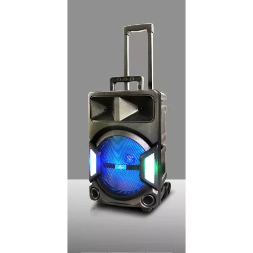 EchoeVibe neversleep 12 colos bluetooth-os gurulós parti hangszoró, mikrofonnal