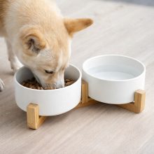 Dupla kerámia kisállat etetőtál bambusz álvánnyal