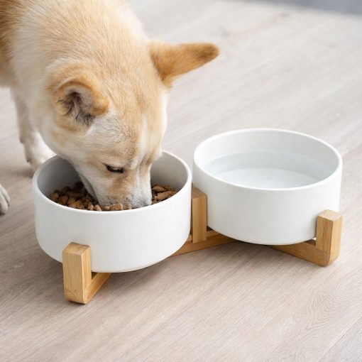 Dupla kerámia kisállat etetőtál bambusz álvánnyal