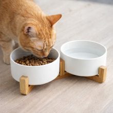 Dupla kerámia kisállat etetőtál bambusz álvánnyal